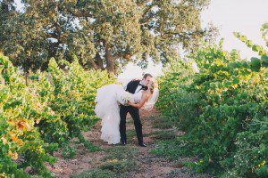 gainey vineyard santa ynez bride groom wedding kissing vines